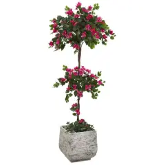 5ft. Bougainvillea Topiary Tree in White Planter
