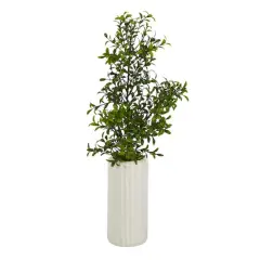 20'' Boxwood Plant in White Planter