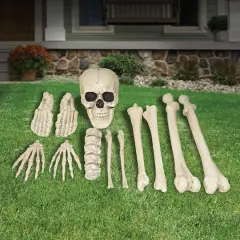 12-Piece Assorted Bones by Ashland&reg;