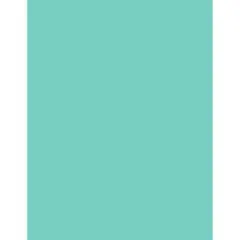 PA Paper&trade; Accents 8.5" x 11" 65lb. Smooth Cardstock, 1000 Sheets Teal