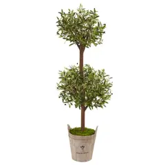 5ft. Olive Tree in Farmhouse Planter