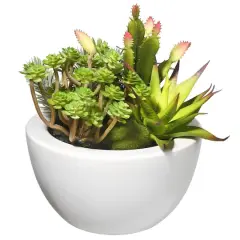 7.5" Succulent Plants in White Planter