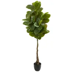 5.5ft. Potted Rubber Leaf Tree
