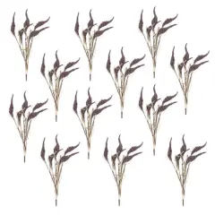 Seeded Harvest Bush, 12ct.