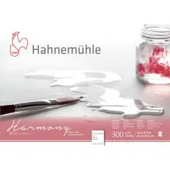 Hahnem&uuml;hle Harmony Cold-Pressed Watercolor Paper Pad, 12 Sheets