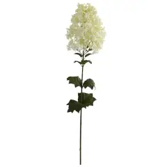 White Peegee Hydrangea Stem, 2ct.