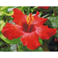 Diamond Dotz&reg; Intermediate Hibiscus in Bloom Pre-Framed Diamond Painting Kit