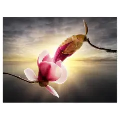 Designart - Beautiful Magnolia Flowers - Large Floral Canvas Art Print