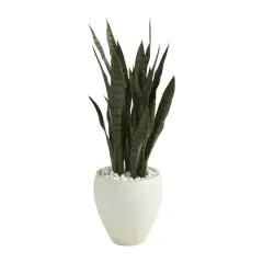 3ft. Snake Plant in White Planter