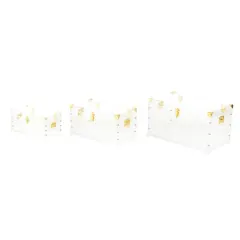 Clear & Gold Acrylic Trunk Set