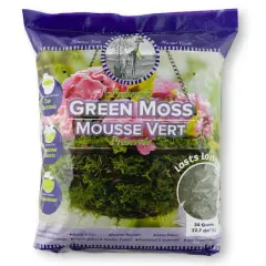SuperMoss&reg; Preserved Green Moss