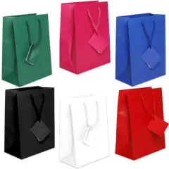JAM Paper Assorted Medium Matte Gift Bags with Rope Handles, 6ct.
