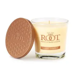 Root Candles 6.3oz. Small Scented Honeycomb Veriglass Jar Candle Sugared Grapefruit