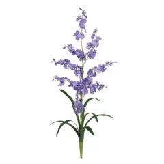 Dancing Lady Orchid Stem, 12ct. Purple