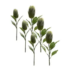 Green Protea Leaf Stems Set