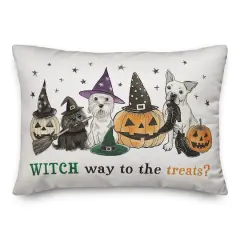 Witch Way to Treats 14" x 20" Spun Poly Pillow