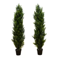 4ft. Potted UV Resistant Topiary Cedar Trees, 2ct.