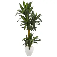 5ft. Yucca Plant in White Planter