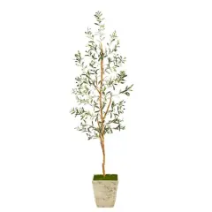 6ft. Olive Artificial Tree in Country White Planter