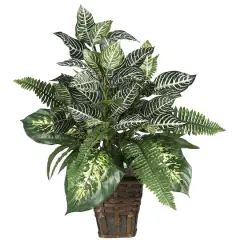 2ft. Mixed Greens Zebra in Wicker Silk Planter