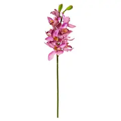 Boat Orchid Stem, 6ct. Mauve