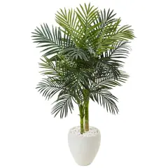 4.5ft. Golden Cane Palm Tree in White Oval Planter