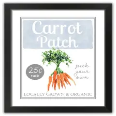 Carrot Patch Sign 5 16" x 20" Black Framed Print Under Plexiglass