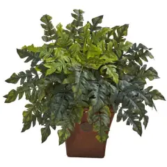 2ft. Holly Fern in Brown Planter