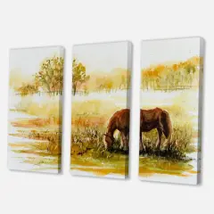 Designart - Horse Grazing On A Meadow - Farmhouse Canvas Wall Art Print