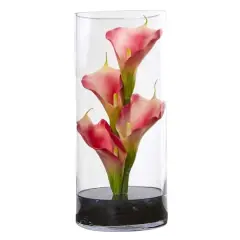 12" Medium Pink Calla Lily Arrangement in Cylinder Glass Vase
