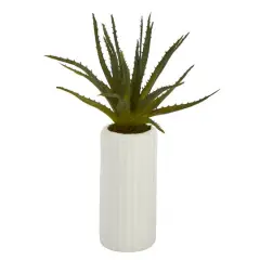 15" Aloe Plant in Decorative White Planter
