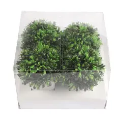 3.75" Premade Green Boxwood Topiaries in Plastic Pots, 4ct. by Ashland&reg;