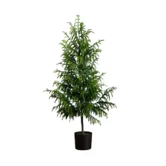 5ft. Unlit Norfolk Pine Artificial Potted Christmas Tree