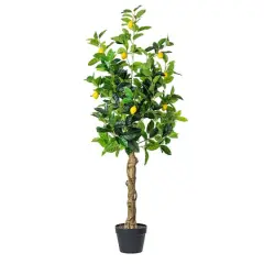 4ft. Potted Lemon Tree