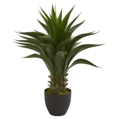 28&rdquo; Potted Agave Plant