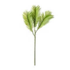 Green Sago Palm Stem by Ashland&reg;