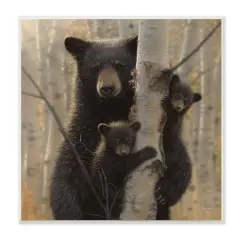Stupell Industries Black Bear and Cubs Soft Birch Tree Forest,12" x 12"
