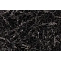 Essentials by Leisure Arts Crinkle Shred Box, 10lb. Black