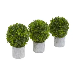 9" Potted Boxwood Mini Topiary, 3ct.