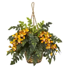 2.5ft. Yellow Boat Orchid & Fern Arrangement in Hanging Basket