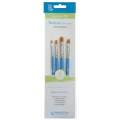Princeton&trade; Select&trade; Artiste Series 3750 #11 Brush Set