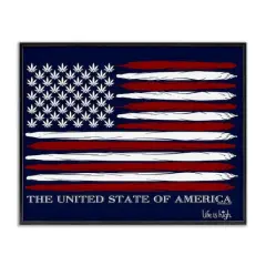 Stupell Industries Herb America Flag Framed Giclee Art Black