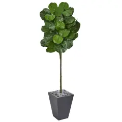 6ft. Fiddle Leaf Tree in Slate Finished Planter