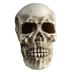 10.5" LED Skull by Ashland&reg;