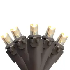 50ct. Warm White LED Wide Angle Christmas String Lights with Brown Wire