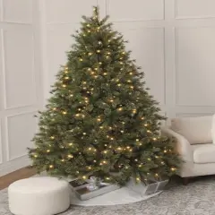 9ft. Pre-Lit Jackson Fir Artificial Christmas Tree, Warm White LED Lights by Ashland&reg;