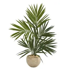 4ft. Kentia Palm Tree in Round Sand Colored Planter