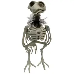 11.5" Crow Skeleton with Feathers by Ashland&reg;