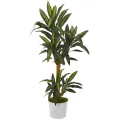 5ft. Yucca Plant in White Tin Planter
