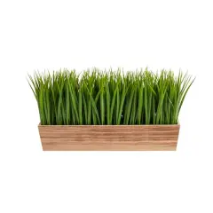 10" Vanilla Grass Plant in Decorative Planter